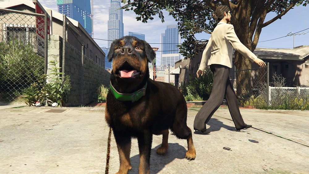 gta online plantas de peyote perro