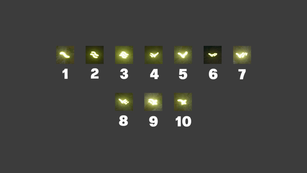 Black Ops 6 The Tomb bastón de hielo 10